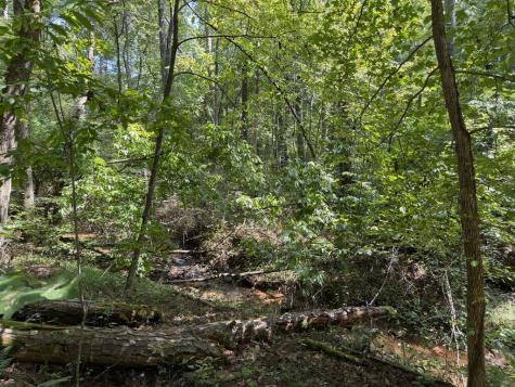 Lt 32 Mission Hill Road Ellijay GA 30540