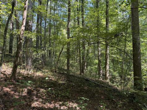 Lt 32 Mission Hill Road Ellijay GA 30540
