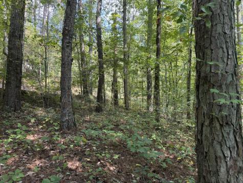 Lt 32 Mission Hill Road Ellijay GA 30540
