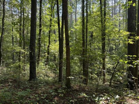 Lt 32 Mission Hill Road Ellijay GA 30540