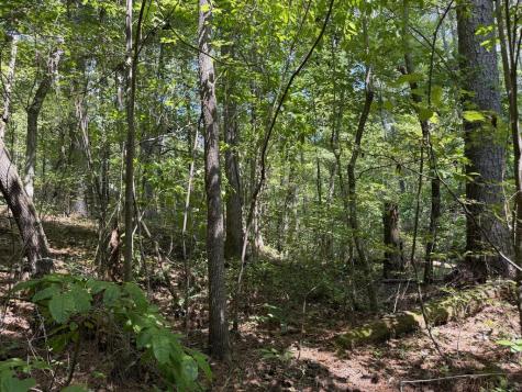 Lt 32 Mission Hill Road Ellijay GA 30540
