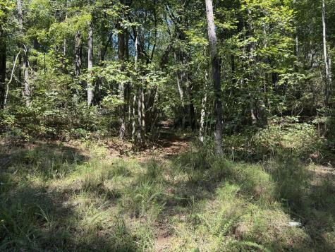 Lt 32 Mission Hill Road Ellijay GA 30540