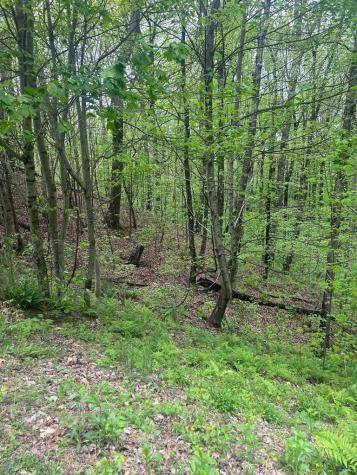 137 St Andrews Way Ellijay GA 30540