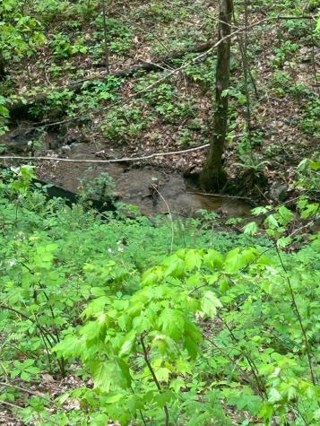 137 St Andrews Way Ellijay GA 30540