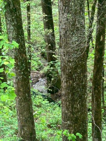 137 St Andrews Way Ellijay GA 30540