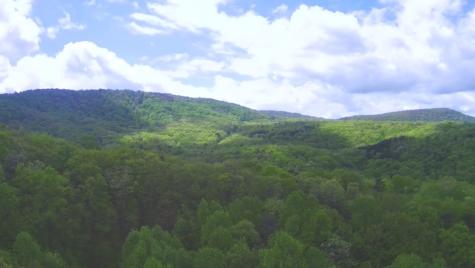 137 St Andrews Way Ellijay GA 30540