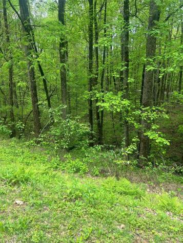 137 St Andrews Way Ellijay GA 30540