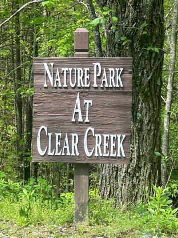 137 St Andrews Way Ellijay GA 30540