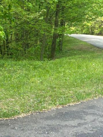 137 St Andrews Way Ellijay GA 30540