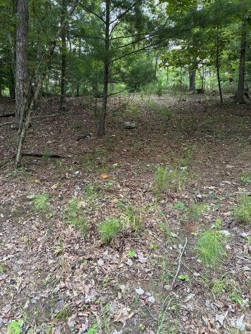 50+/- Pickelsimer Road Morganton GA 30560