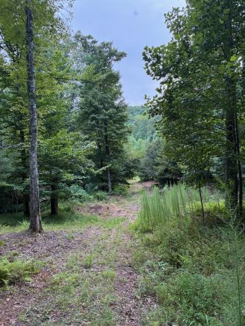 50+/- Pickelsimer Road Morganton GA 30560