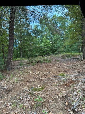 50+/- Pickelsimer Road Morganton GA 30560