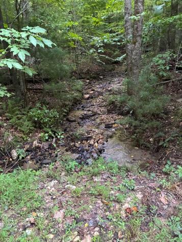 50+/- Pickelsimer Road Morganton GA 30560