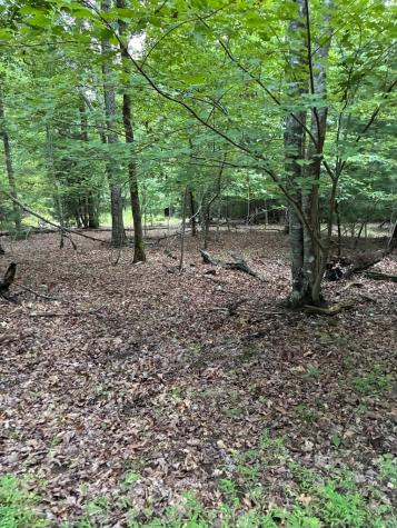 50+/- Pickelsimer Road Morganton GA 30560