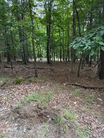 50+/- Pickelsimer Road Morganton GA 30560