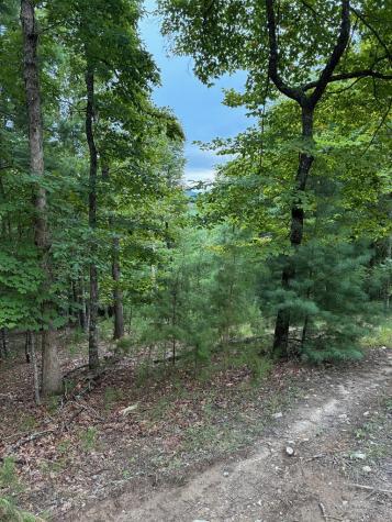 50+/- Pickelsimer Road Morganton GA 30560
