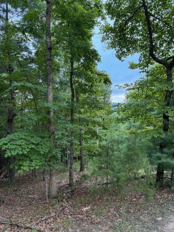 50+/- Pickelsimer Road Morganton GA 30560