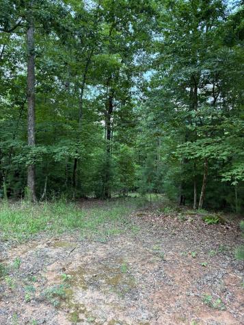 50+/- Pickelsimer Road Morganton GA 30560