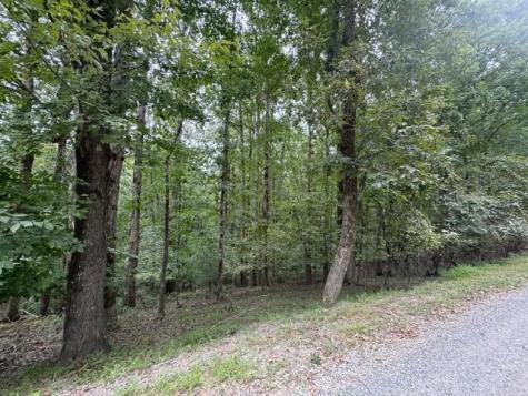 L812 Myna Drive Ellijay GA 30540