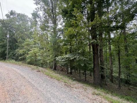 L812 Myna Drive Ellijay GA 30540