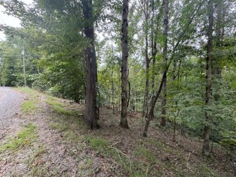 L812 Myna Drive Ellijay GA 30540