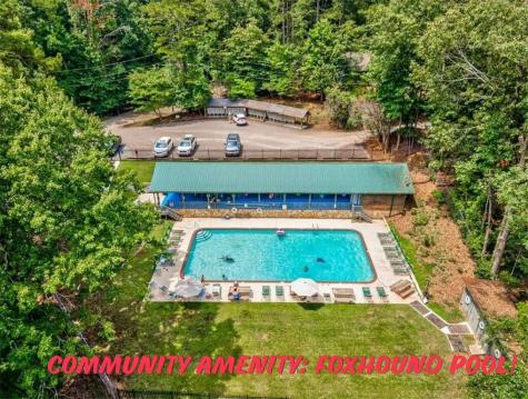 L812 Myna Drive Ellijay GA 30540