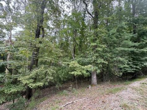 L812 Myna Drive Ellijay GA 30540