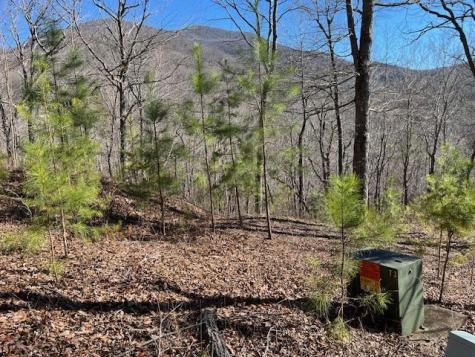 Lot 10 Mountain Valley View Hiawassee GA 30546