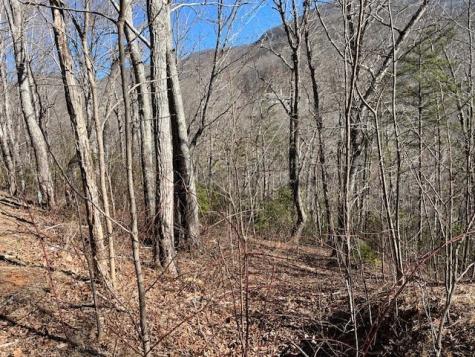 Lot 10 Mountain Valley View Hiawassee GA 30546
