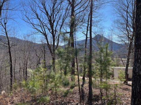 Lot 10 Mountain Valley View Hiawassee GA 30546