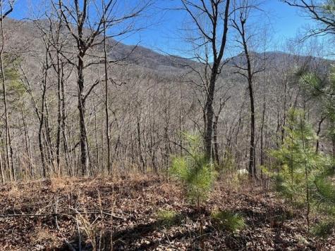 Lot 10 Mountain Valley View Hiawassee GA 30546