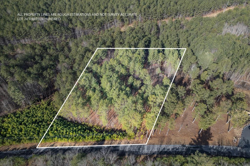 Lot 74 Thirteen Hundred Blairsville GA 30512