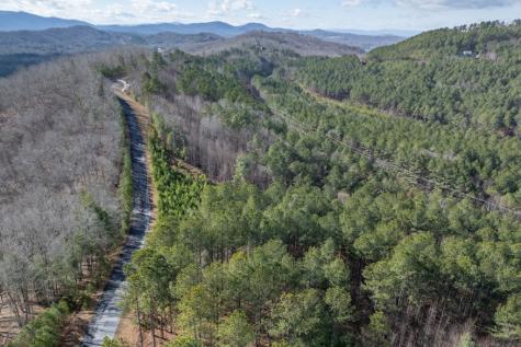 Lot 74 Thirteen Hundred Blairsville GA 30512