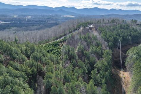 Lot 74 Thirteen Hundred Blairsville GA 30512