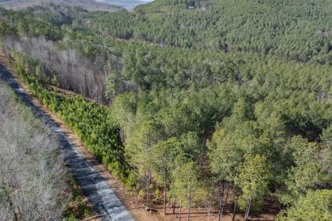Lot 74 Thirteen Hundred Blairsville GA 30512