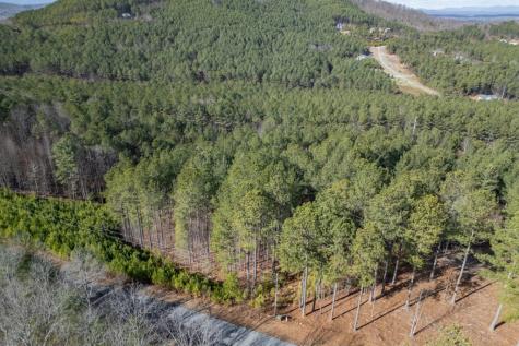 Lot 74 Thirteen Hundred Blairsville GA 30512