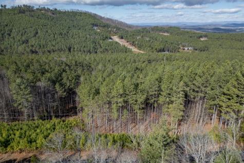 Lot 74 Thirteen Hundred Blairsville GA 30512