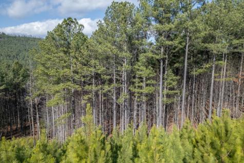 Lot 74 Thirteen Hundred Blairsville GA 30512