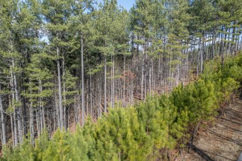 Lot 74 Thirteen Hundred Blairsville GA 30512