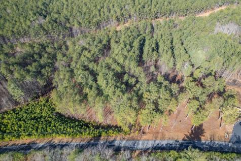 Lot 74 Thirteen Hundred Blairsville GA 30512