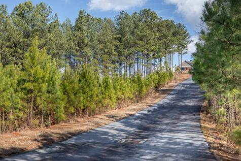 Lot 74 Thirteen Hundred Blairsville GA 30512