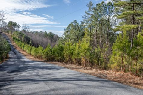 Lot 74 Thirteen Hundred Blairsville GA 30512