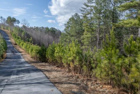 Lot 74 Thirteen Hundred Blairsville GA 30512