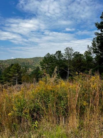 18&17 Sunset View Blairsville GA 30512