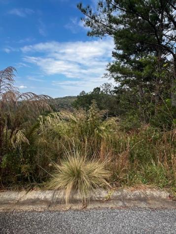 18&17 Sunset View Blairsville GA 30512