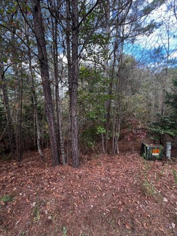 18&17 Sunset View Blairsville GA 30512