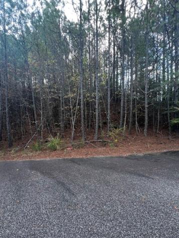 18&17 Sunset View Blairsville GA 30512