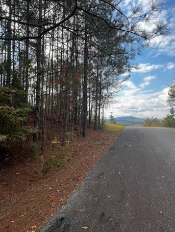 18&17 Sunset View Blairsville GA 30512