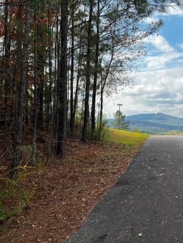 18&17 Sunset View Blairsville GA 30512