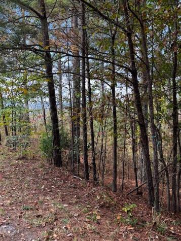 18&17 Sunset View Blairsville GA 30512